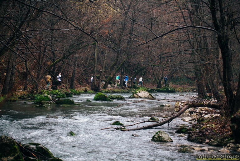 Učesnici u šumi pre Konjičkog (foto: Đorđe Đoković)