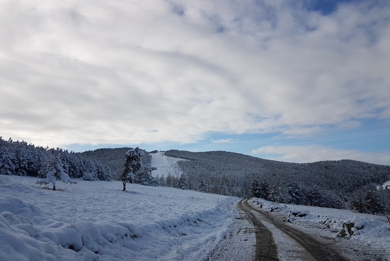 Put ka ski stazi Crni vrh na Divčibarama (novembar 2016.) (foto: Kolubarske.rs)