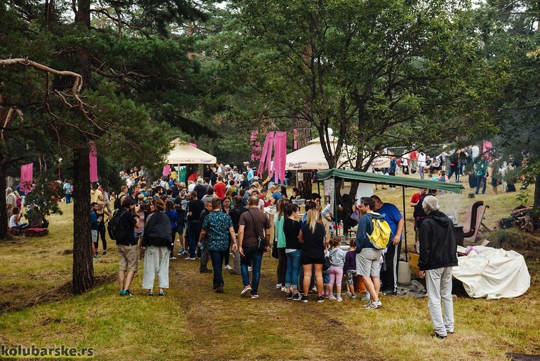Mountain Music Fest (2016.) (foto: Đorđe Đoković)