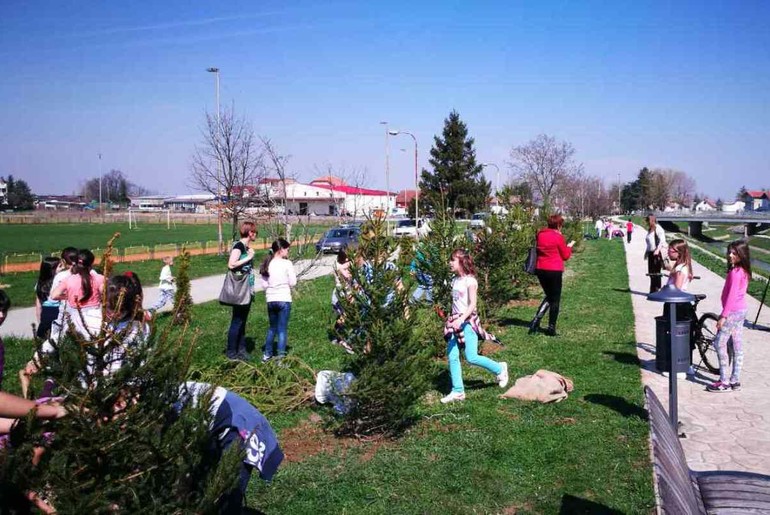 Đaci sade drveće na Školarcu (foto: Ranko Antonić)