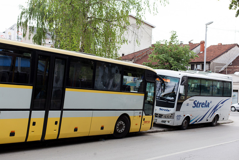 Autobusi (ilustracija) (foto: Đorđe Đoković)