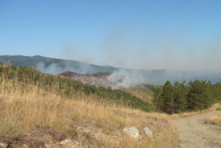 Šumski požar u Planinici (foto: Kolubarske.rs)