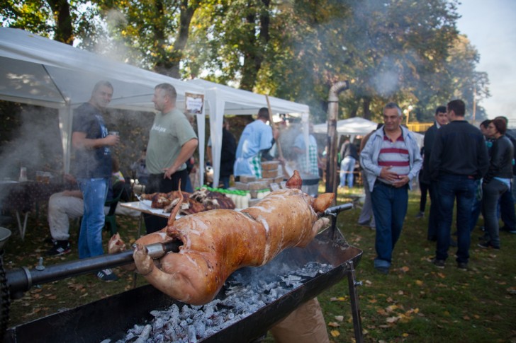 Festival duvan čvaraka