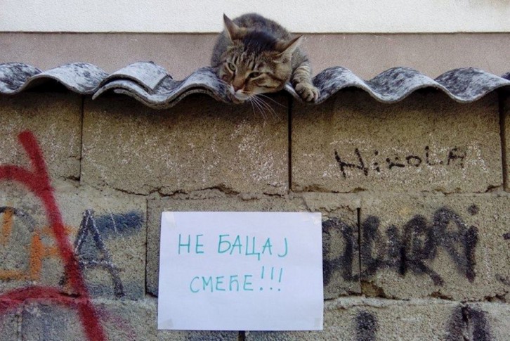 Poruka gimnazijalaca