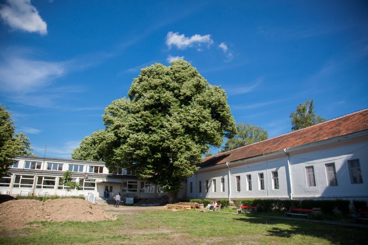 Dvorište Medicinske škole