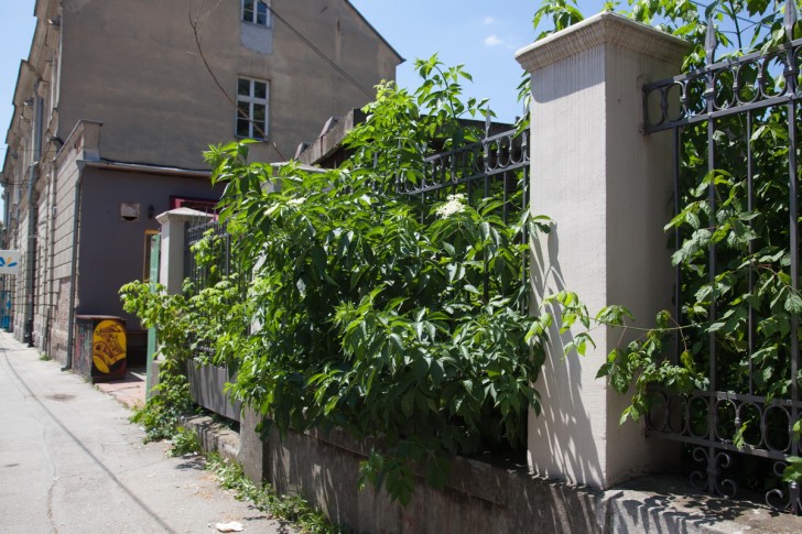 Dvorište Doma vojske