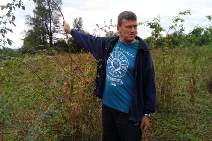 Aleksandar Prodanović