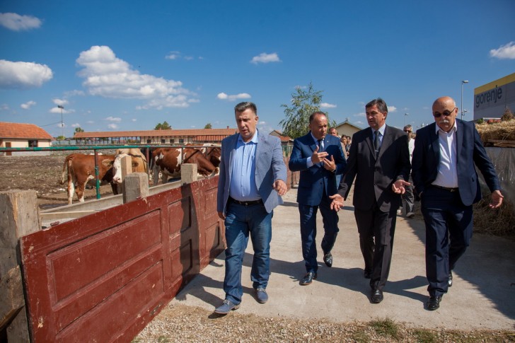 Gradonačelnik, ministar, direktor i poslanik