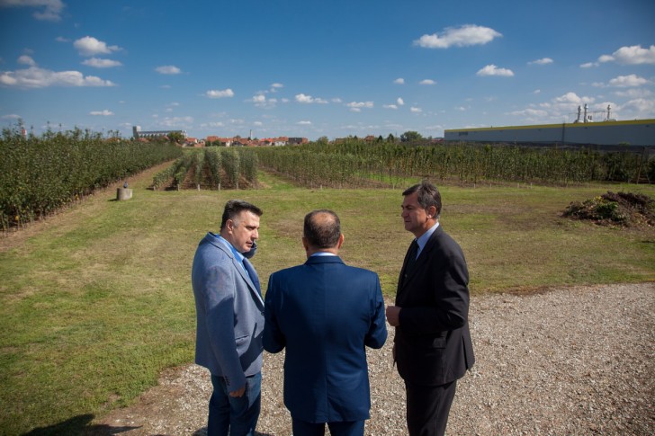 Gradonačelnik,  ministar i direktor