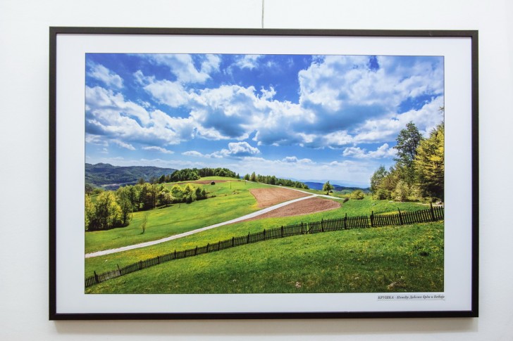  Fotografija Miroslava Jeremića