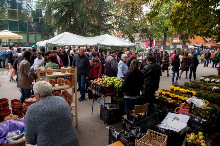 Festival duvan čvaraka