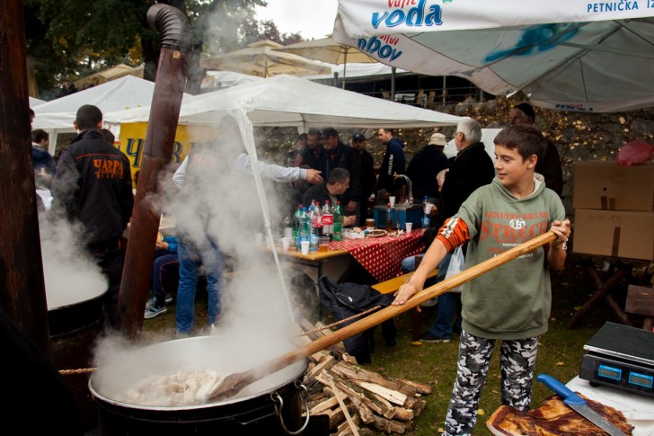 Festival duvan čvaraka