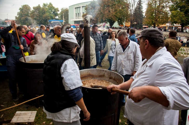 Festival duvan čvaraka