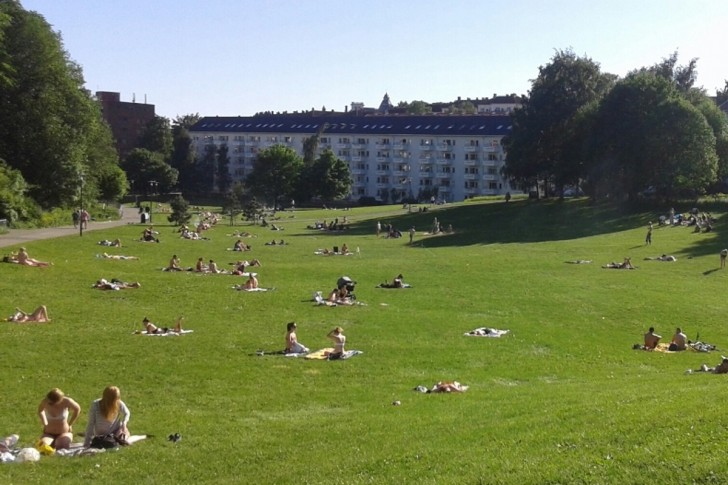 Norveški park kad grane sunce