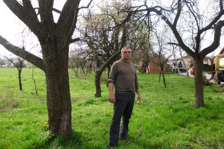 Zoran Živanović