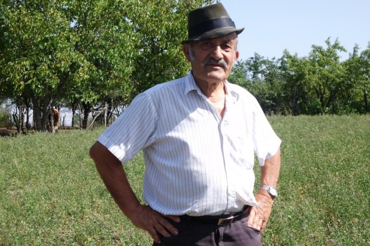 Dragoslav Daničić
