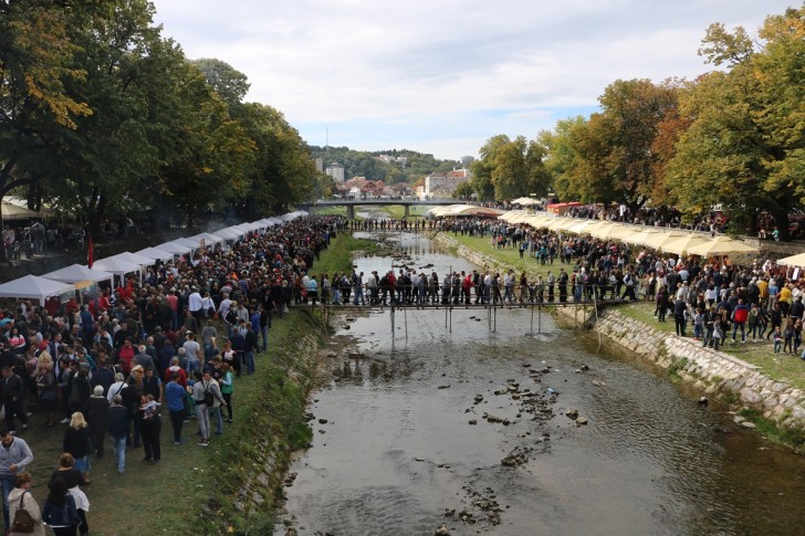 Festival duvan čvaraka