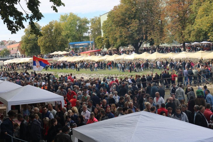 Festival duvan čvaraka