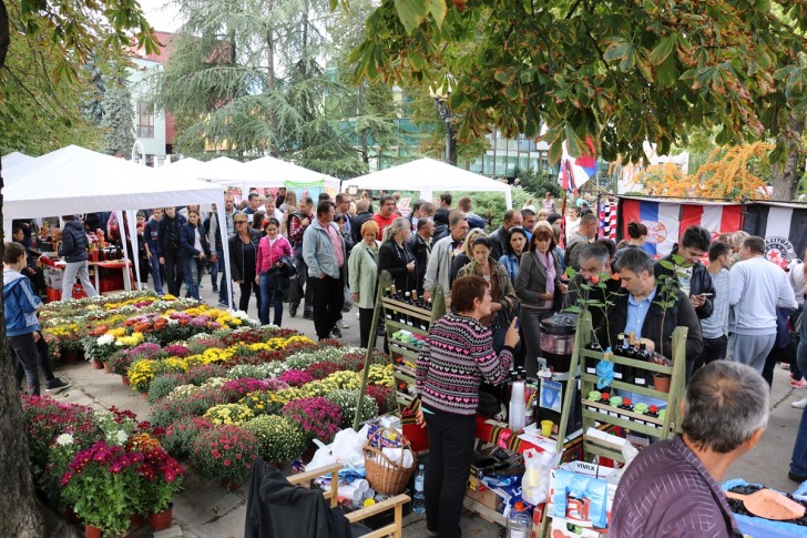 Festival duvan čvaraka