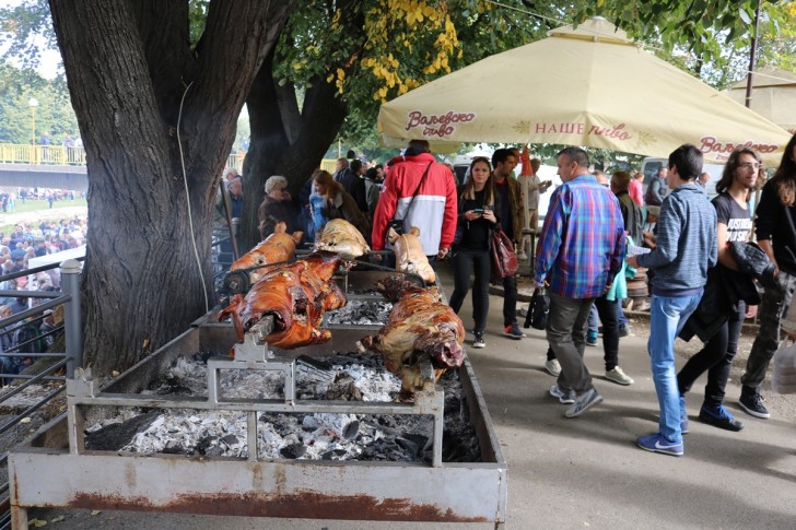 Festival duvan čvaraka