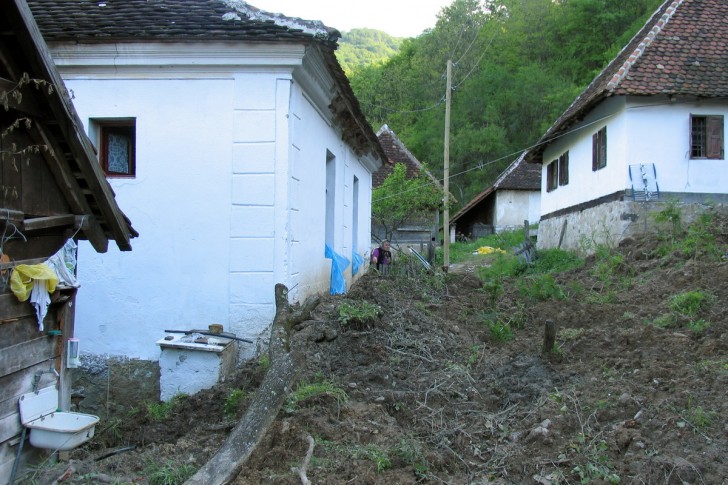 Bebića luka