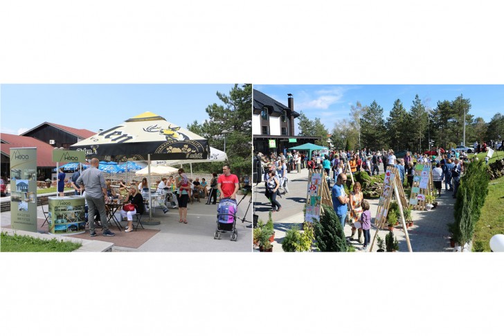 Di fest 2016 Studio M vs Dani gljiva 2016. Gljivarskog društva Valjevo
