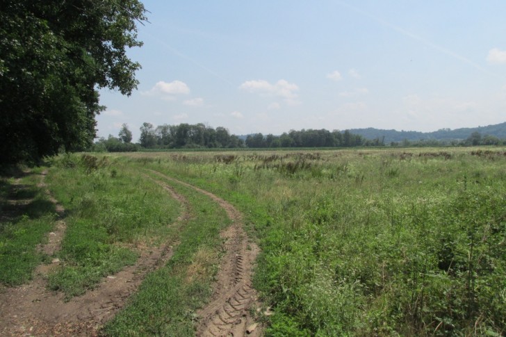 Nova industrijska zona