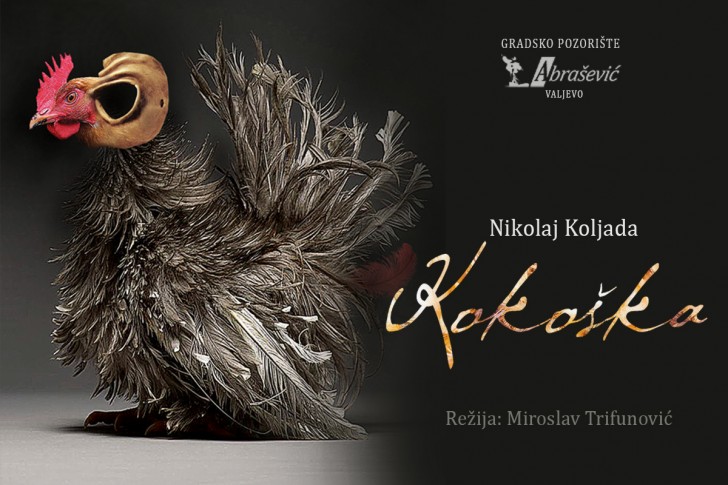 Plakat Kokoška