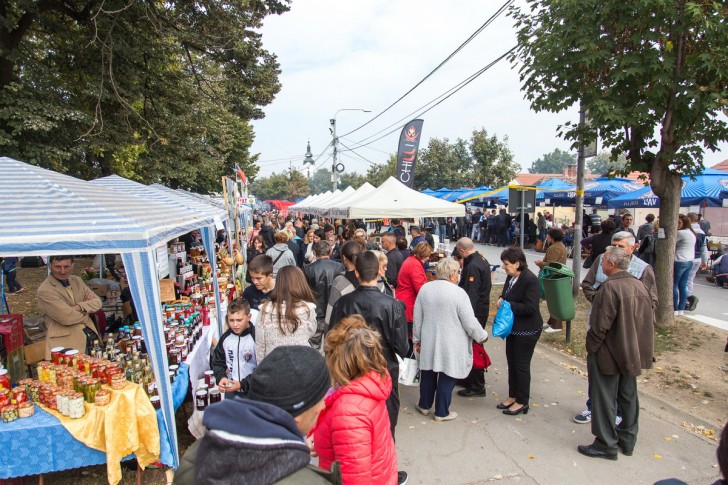 Festival zimnice u Koceljevi 