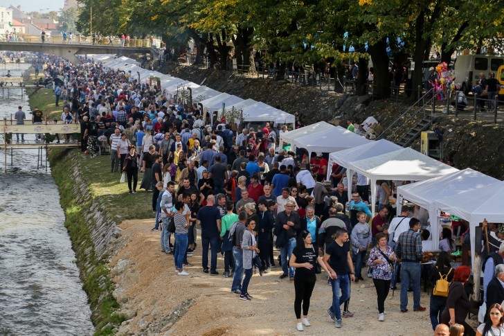 Festival duvan čvaraka