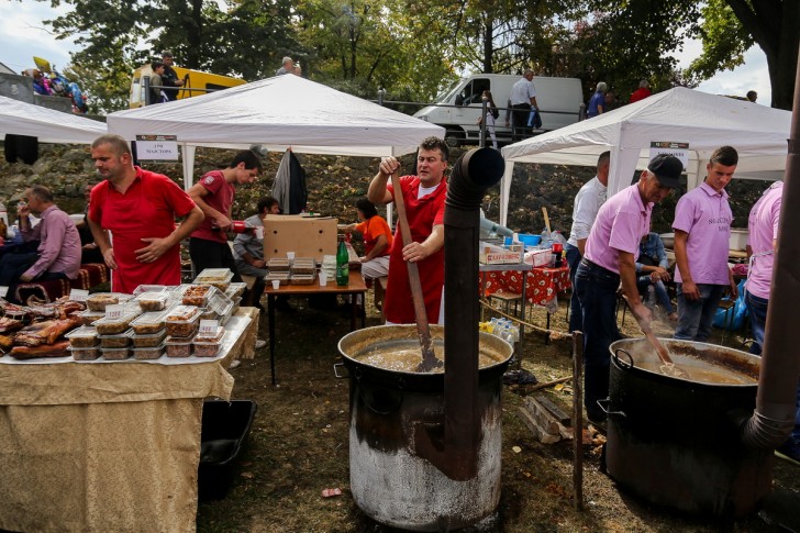 Festival duvan čvaraka