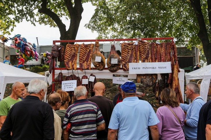 Festival duvan čvaraka