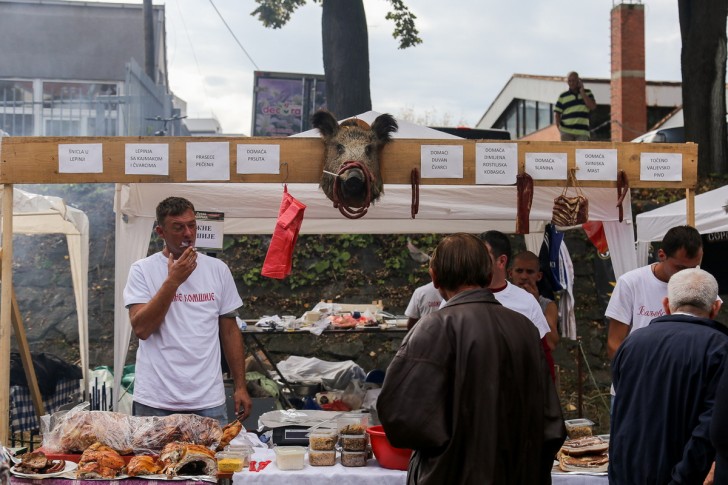 Festival duvan čvaraka