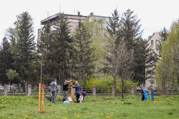 Rotarijancu Valjeva i Velenja sade drveće