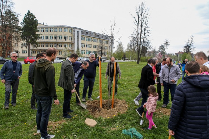 Rotarijancu Valjeva i Velenja sade drveće