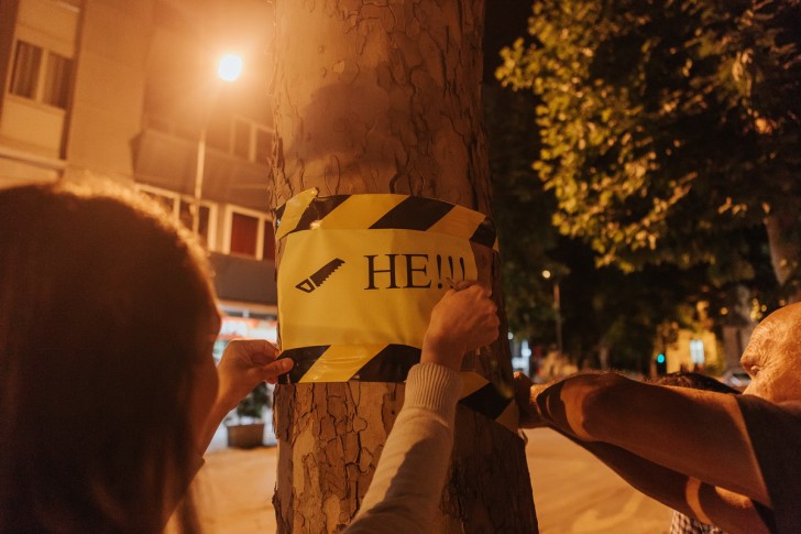 NE secite platane u Ulici Vuka Karadžića