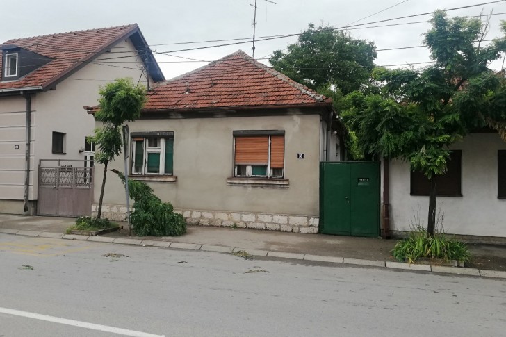 Polomljene grane