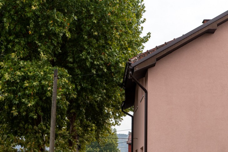 Platan u Radničkoj