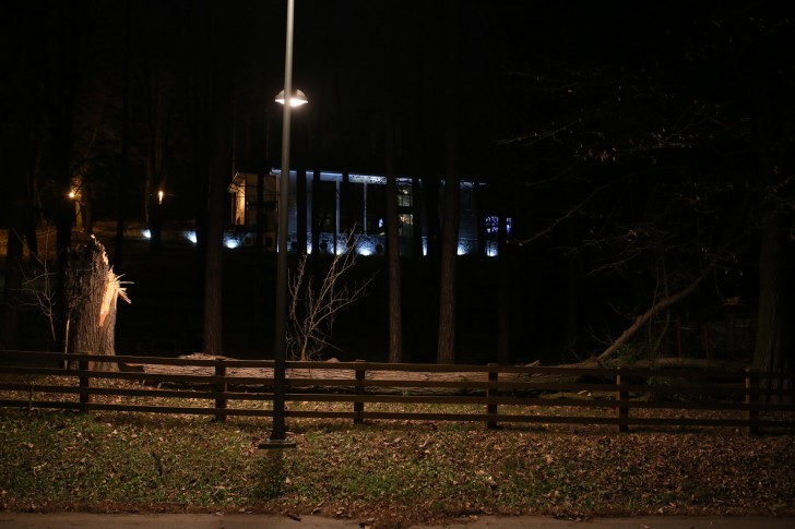 Oboreno drvo u Parku Pećina