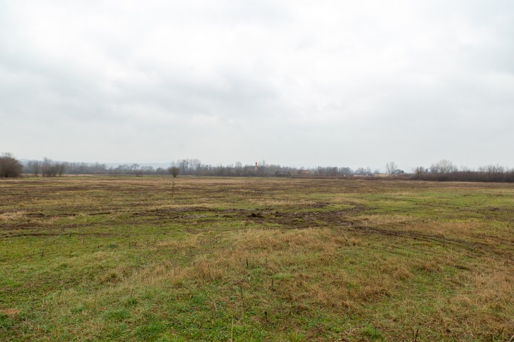 Buduća Privredna zona