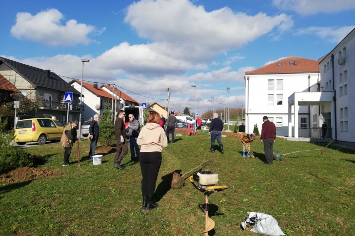 Rotarijanci zasadili drveće u Šestoj školi