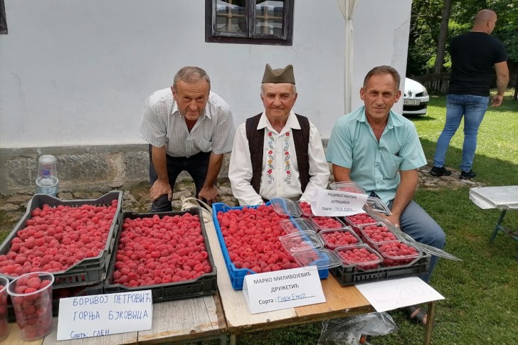 Dan maline u Brankovini