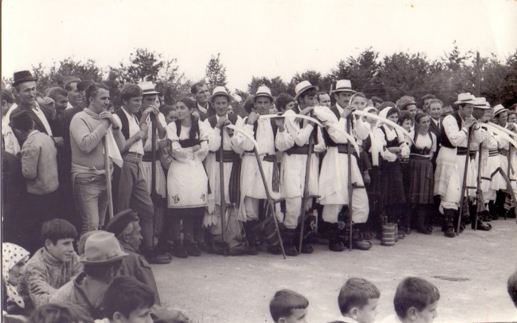 Prva kosidba