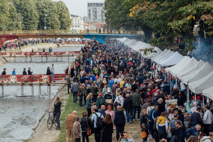 Festival duvan čvaraka