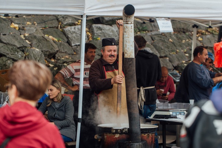 Festival duvan čvaraka