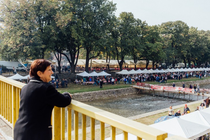 Festival duvan čvaraka