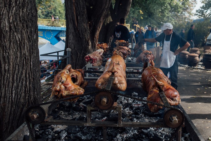 Festival duvan čvaraka