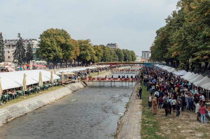 Festival duvan čvaraka