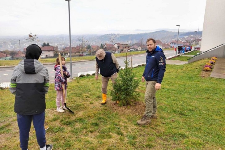 Posađeno drveće u dvorištu škole