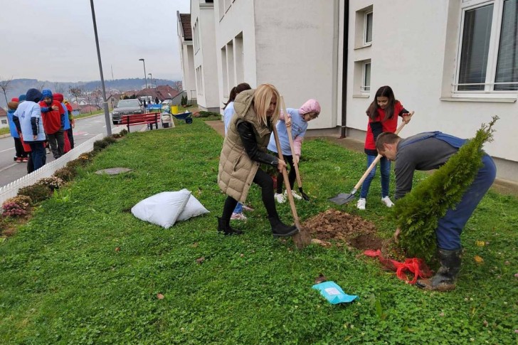Posađeno drveće u dvorištu škole